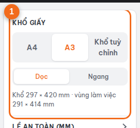 Mục "Khổ giấy": A4, A3, khổ tuỳ chỉnh, dọc hoặc ngang