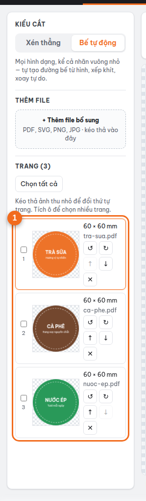Các trang của file hiện ở cột trái; bấm vào ảnh thu nhỏ để chọn trang