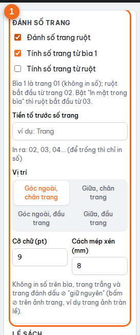 Mục "Đánh số trang": tính từ bìa 1 hoặc từ ruột, tiền tố, vị trí