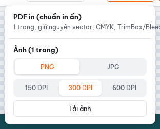 Menu "Tải về" ở bước chế bản: PDF in, ảnh PNG/JPG theo DPI